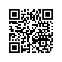 3411-522 DECAL,EFI-550-CAMO