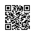 34193-26450-000 Ornament