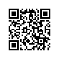 34459-285-000ZH Case,patrol *nh0*