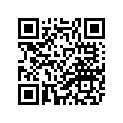 34X-24110-01-06 