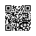 3500110217W 