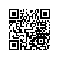 35004-0055-268 フエンダ(フロント)，オレンジ