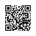 35004-1265-268 フエンダ(フロント)，オレンジ
