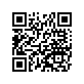 35004-1299-RK フエンダ(フロント)，オレンジ
