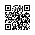 35004-5217-VL フエンダ(フロント)，エボニ-/グレ-