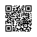 35010-181-921 Ключ с личиной (компл.)