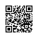 35010-463-772 Key set