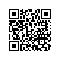 35010-MCC-010 Ключ с личиной (компл.)