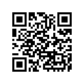 35011-1308 Stay, Flap