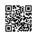 35011-1521-GD STAY,RR,LH,G.GRAY