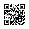 35063-0342-26M ステ-，マフラ，グレイ