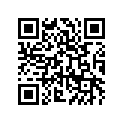 35063-0443-458 STAY,P.SILVER