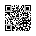 35122-070-811 Key no.2,blank