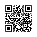 35122-443-812 Key no.2 blank