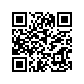353-11631-22-97 Поршень