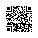 355-21110-03-33 