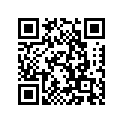360-17161-00-00 