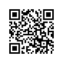 360-21110-01-33 FRAME