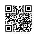 360011306H81 