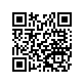 36030528320 