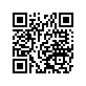 36040011915T 