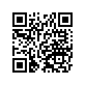36040013915T 
