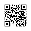 361-11636-00-00 Поршень