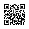 361-23340-50-33 UNDER BRACKET