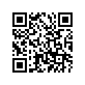 362-14231-34-00 Жиклерпроводник воздуха