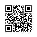 367-21110-10-33 FRAME