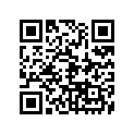 368-81300-11-00 FLYWHL MAGNETO ASY