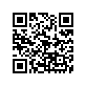 371-17141-00-00 