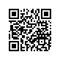 371-17211-01-00 