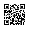 371-17221-02-00 
