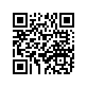 378-17425-00-00 CIRCLIP 2