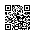378-23181-50-00 Болт диагональный