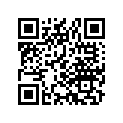 38301-141-871 RELAY,WINKER