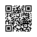 38301-428-671 RELAY COMP,WINKER