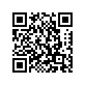 386-17221-00-00 