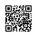389-17141-00-00 