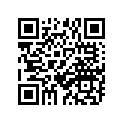 389-17251-00-00 