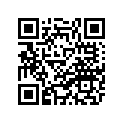 38N-81960-01-00 Выпрямитель и регулятор