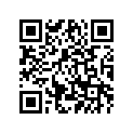 38V-21621-00-00 Flap