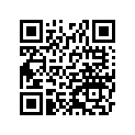 390070411 ARM-SUSP