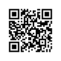 390121055 Case-storage
