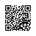 390313705 Cap-end