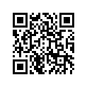 390611258 