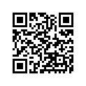 390621205 