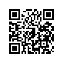 390621240 