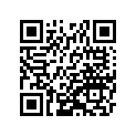 390621245 